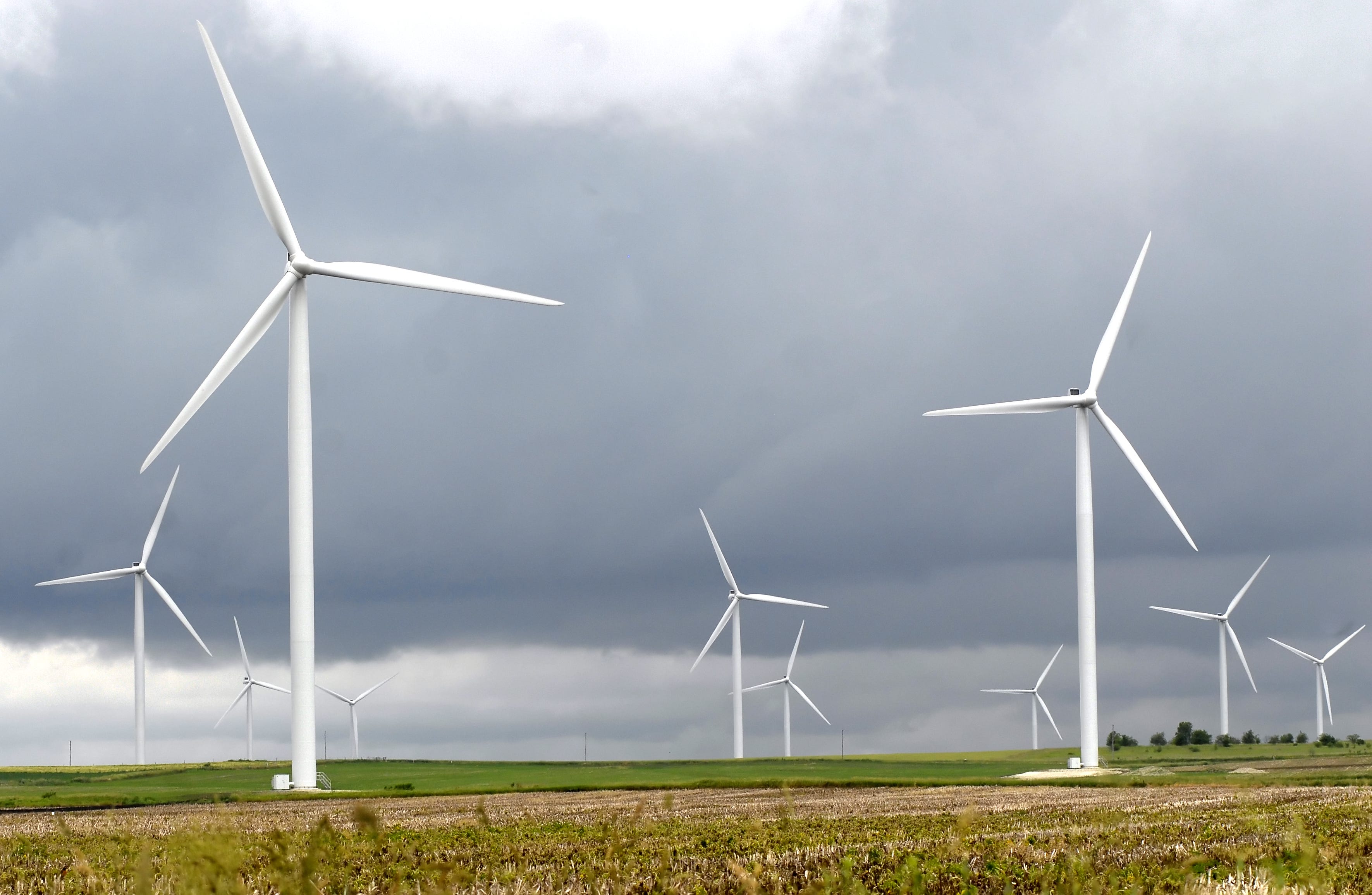 windmill farm